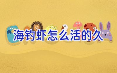 海钓虾怎么活的久插图