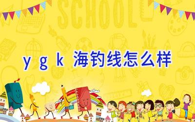 ygk海钓线怎么样插图