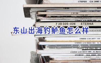 东山出海钓鲈鱼怎么样插图