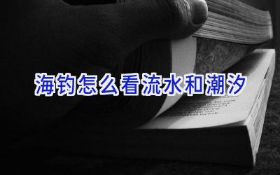 海钓怎么看流水和潮汐插图