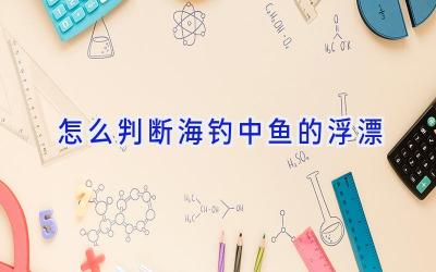 怎么判断海钓中鱼的浮漂插图