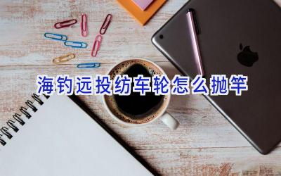 海钓远投纺车轮怎么抛竿插图