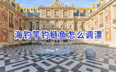 海钓竿钓鲢鱼怎么调漂插图