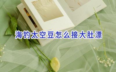 海钓太空豆怎么接大肚漂插图