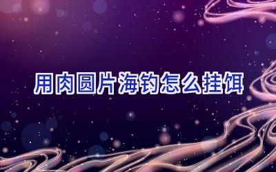 用肉圆片海钓怎么挂饵插图