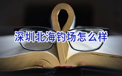 深圳北海钓场怎么样插图