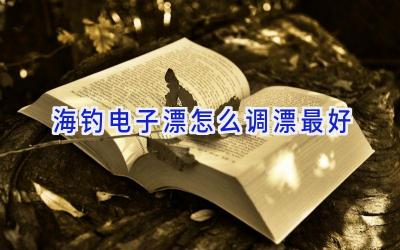 海钓电子漂怎么调漂最好插图