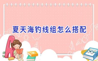 夏天海钓线组怎么搭配插图