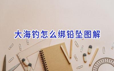 大海钓怎么绑铅坠图解插图