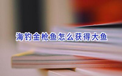 海钓金枪鱼怎么获得大鱼插图