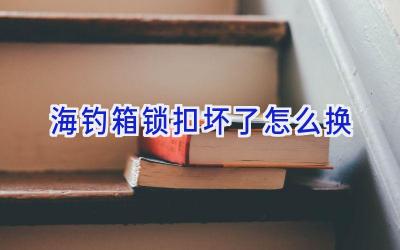 海钓箱锁扣坏了怎么换插图