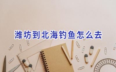 潍坊到北海钓鱼怎么去插图