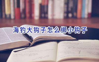 海钓大钩子怎么绑小钩子插图