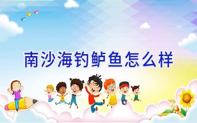 南沙海钓鲈鱼怎么样插图