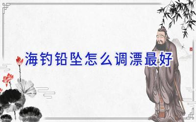 海钓铅坠怎么调漂最好插图