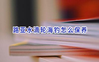 路亚水滴轮海钓怎么保养插图