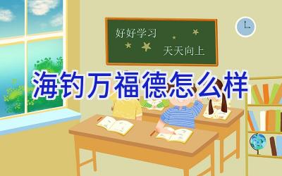 海钓万福德怎么样插图