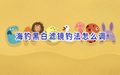 海钓黑白滤镜钓法怎么调插图