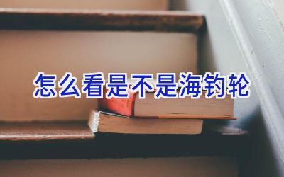 怎么看是不是海钓轮插图