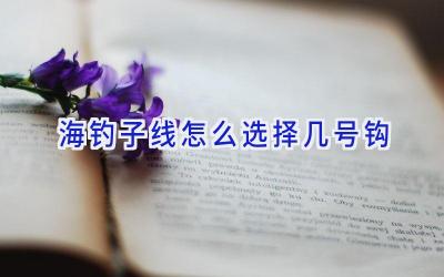 海钓子线怎么选择几号钩插图