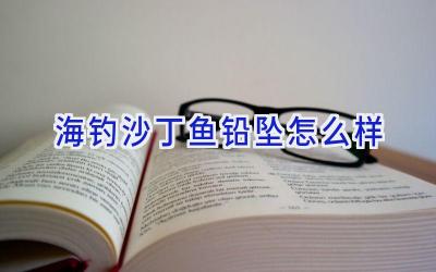 海钓沙丁鱼铅坠怎么样插图
