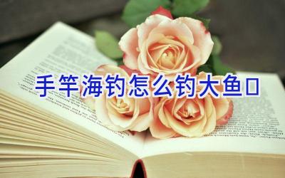 手竿海钓怎么钓大鱼插图