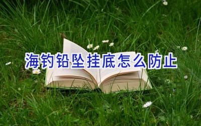 海钓铅坠挂底怎么防止插图