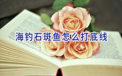 海钓石斑鱼怎么打底线插图