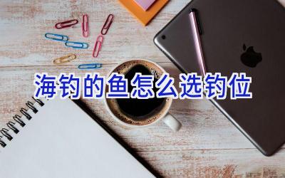 海钓的鱼怎么选钓位插图