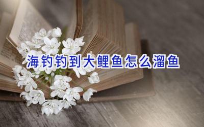 海钓钓到大鲤鱼怎么溜鱼插图