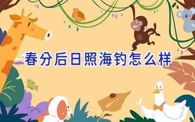 春分后日照海钓怎么样插图