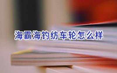 海霸海钓纺车轮怎么样插图