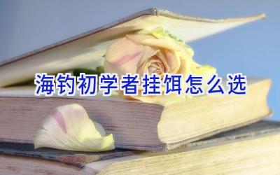 海钓初学者挂饵怎么选插图