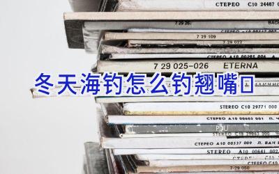 冬天海钓怎么钓翘嘴插图