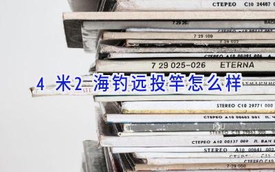 4米2海钓远投竿怎么样插图 4米2海钓远投竿怎么样插图