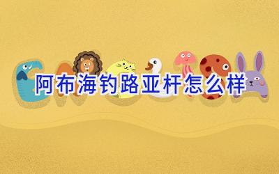 阿布海钓路亚杆怎么样插图