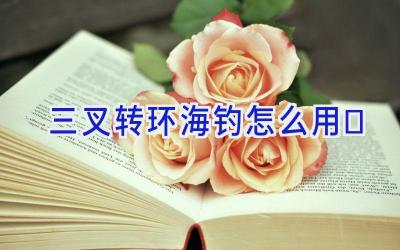 三叉转环海钓怎么用插图