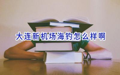 大连新机场海钓怎么样啊插图