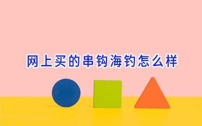 网上买的串钩海钓怎么样插图