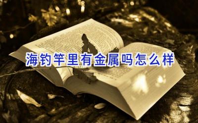 海钓竿里有金属吗怎么样插图