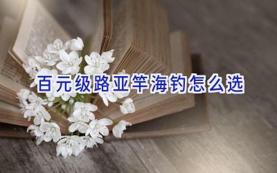 百元级路亚竿海钓怎么选插图