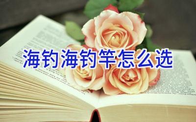 海钓海钓竿怎么选插图
