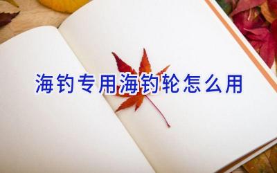 海钓专用海钓轮怎么用插图