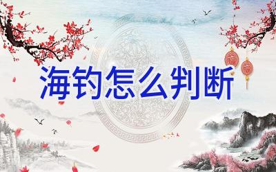 海钓怎么判断插图