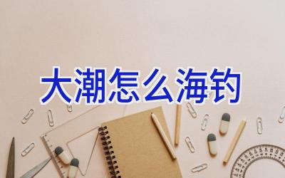 大潮怎么海钓插图