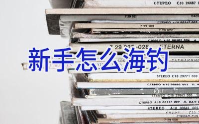 新手怎么海钓插图