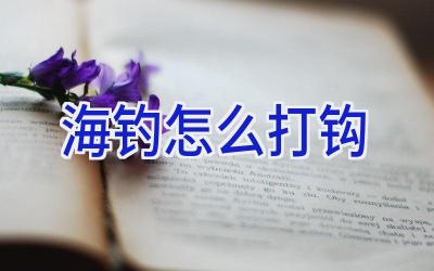 海钓怎么打钩插图
