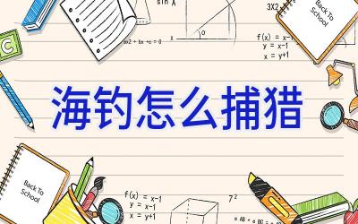 海钓怎么捕猎插图