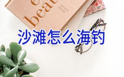 沙滩怎么海钓插图