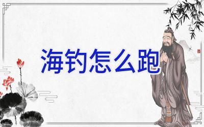 海钓怎么跑插图